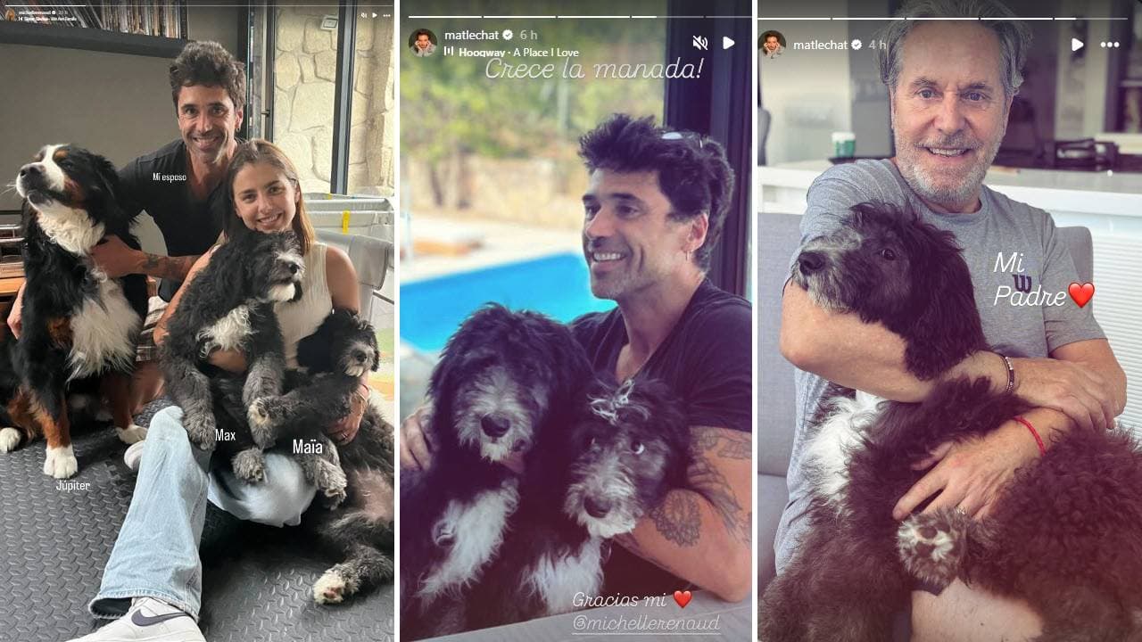 Michelle Renaud y Matías Novoa anuncian que su familia creció.