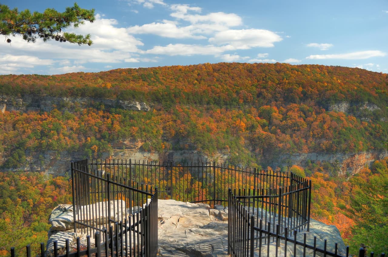 <a href="https://gastateparks.org/CloudlandCanyon"><b>Cloudland Canyon State Park</b></a>. Cloudland Canyon es un hermoso destino de Georgia en cualquier época del año, pero sus colores cobran vida en otoño. Aquí hay excelentes rutas de senderismo y senderos para ciclismo de montaña que te permiten ver el follaje de otoño mientras haces un excelente ejercicio.
<br>
<br>
<a href="https://goo.gl/maps/swJGuCqbrA2Xa3F28"><b>Cómo llegar</b></a>