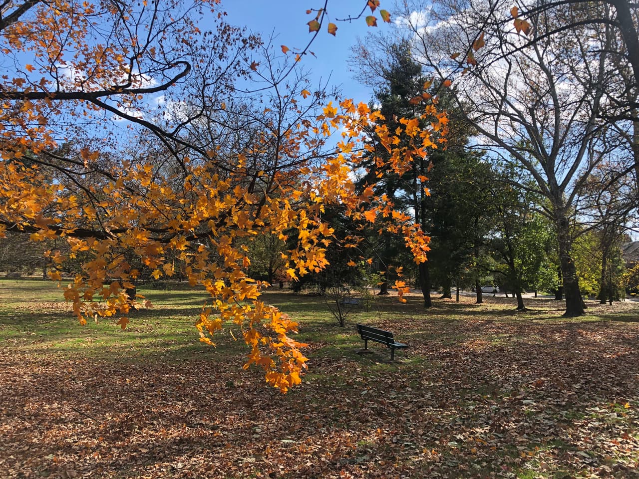 El parque McMichael en East Falls fue fundado en el 1929.