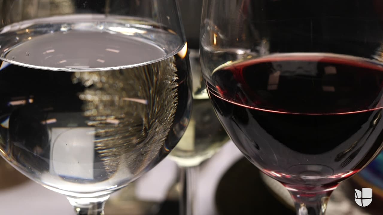 Qué copa se utiliza para cada tipo de vino