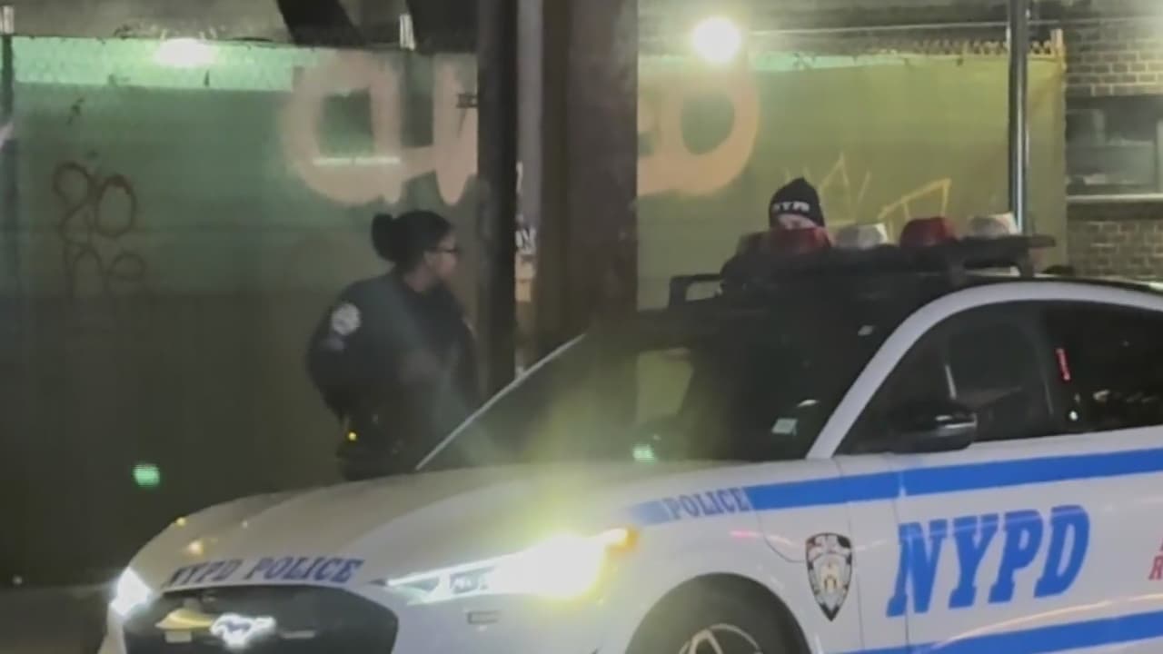 Dos heridos por ataque con machete en el subway en El Bronx