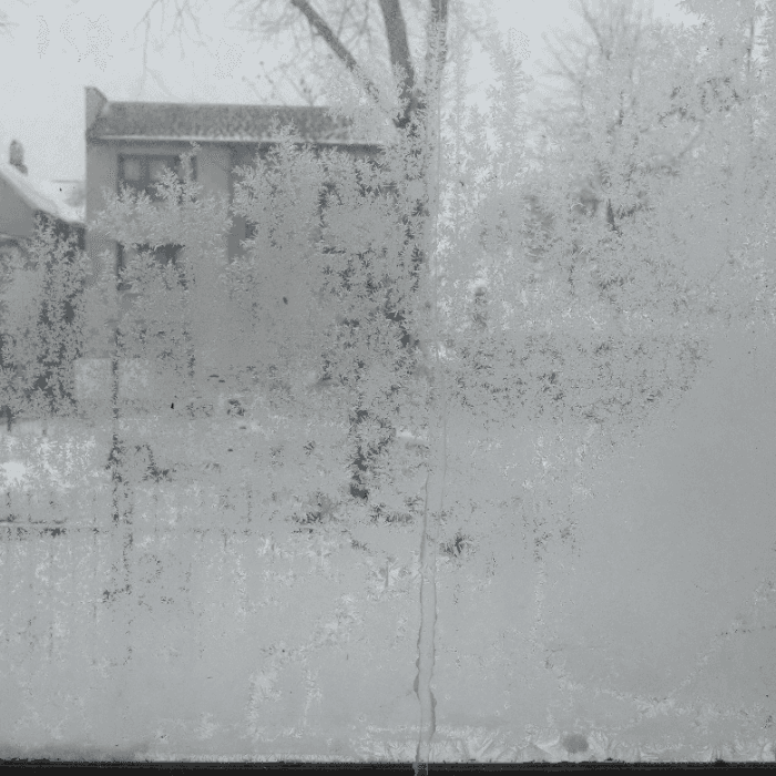 Un televidente nos envia este foto de un árbol cubierto totalmente de nieve que hasta parece que es de cristal.