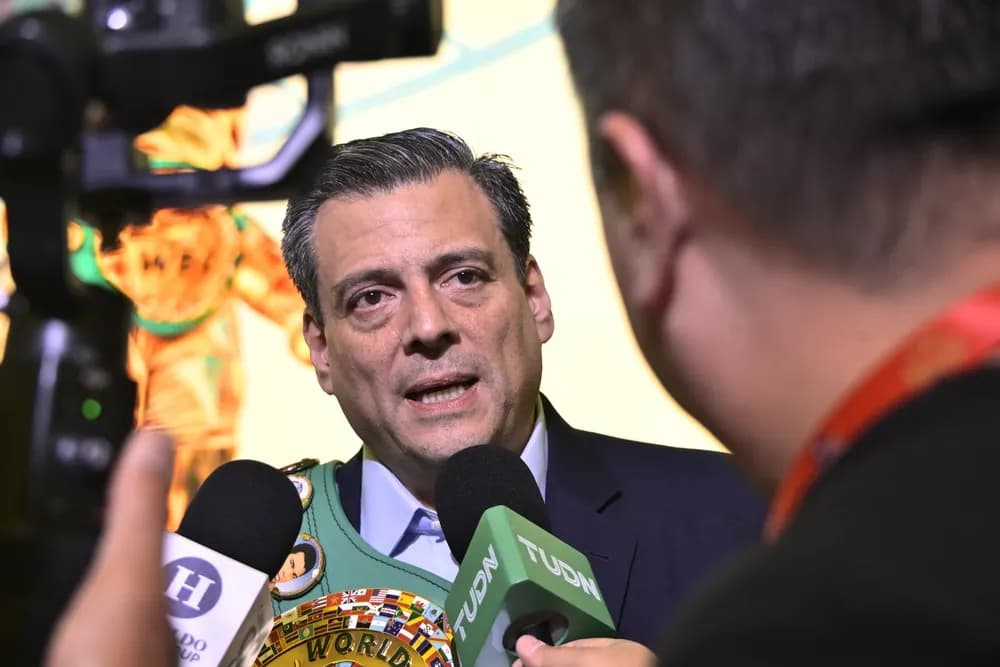 Anuncian Mundial de Boxeo, un torneo que innovará el deporte