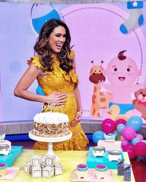 Fue el 16 de julio de 2018 cuando Jacqueline compartió esta foto para dar la noticia a sus seguidores: “¡Síii! Estamos embarazados mi Martín y yo. ¿Y qué creen? Todavía no sabemos el sexo, ¡pero son dos bebés! Estoy nerviosa, pero muy emocionada y feliz. Amén".
<br>