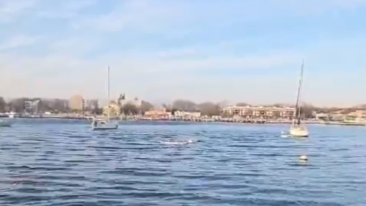 Rescatan a tres personas de una playa en Brooklyn; su bote se estaba hundiendo