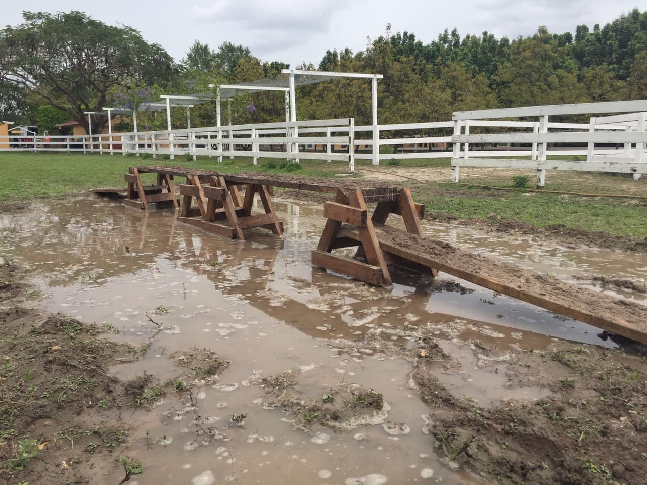 Pero algo peor les iba a tocar hacer. Desfilar sobre una pasarela sobre lodo.
