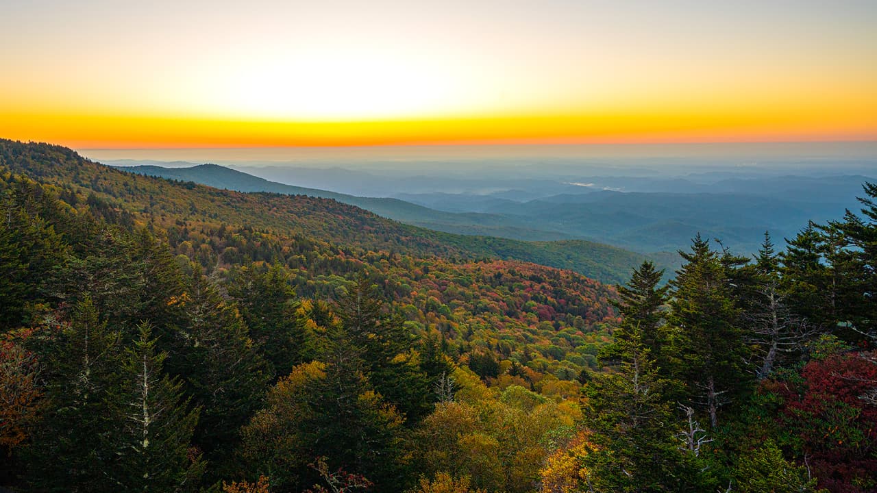 <b>Grandfather Mountain (Linville)</b>
<br>
<b>Sitio web</b>: 
<a href="https://www.ncparks.gov/state-parks/grandfather-mountain-state-park">https://www.ncparks.gov/state-parks/grandfather-mountain-state-park</a> 
<br>
<b><a href="https://maps.app.goo.gl/iURpRzazE1BtSTiF6">Cómo llegar</a> </b>
<br>
<br>Uno de los mejores lugares para disfrutar de los colores es Grandfather Mountain, ubicado en Linville, a poca distancia en auto de Boone, Blowing Rock y Banner Elk. Tendrás que comprar un boleto para ingresar al parque, pero luego podrás conducir cuando quieras, deteniéndote en el camino para disfrutar de las impresionantes vistas.