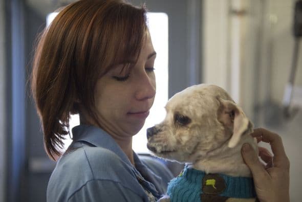 Este cambio de comercio por parte de Moon Suk Jung es un éxito para la asociación.