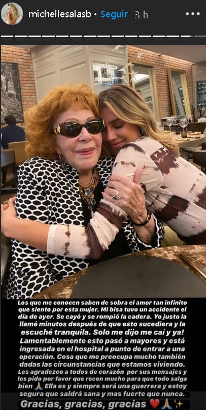 Por su parte,
<b> Michelle Salas </b>le dedicó un mensaje de amor a su bisabuela en sus historias de Instagram, donde cuenta que habló con Silvia Pinal minutos después de que sufriera el accidente.
<br>