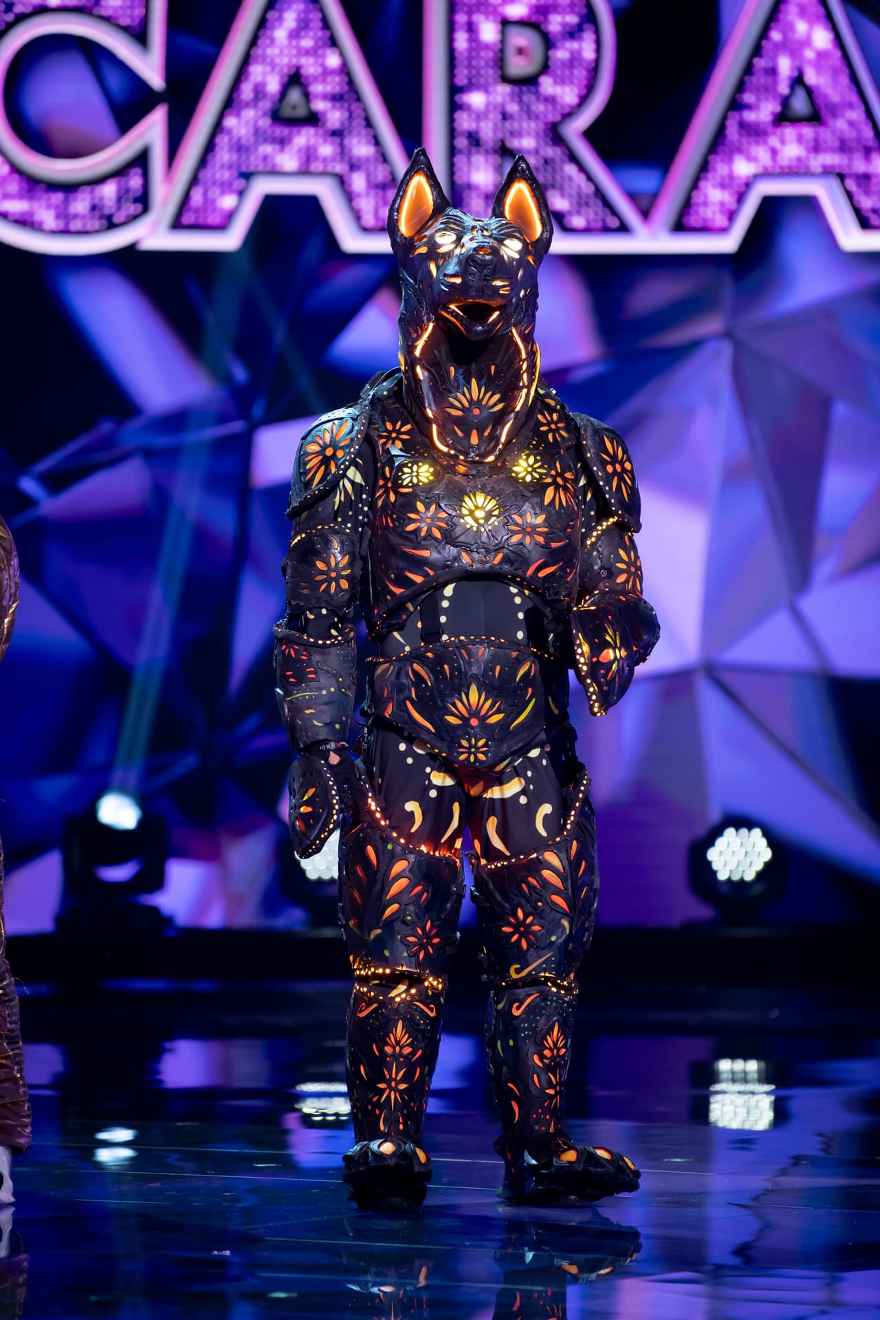 Xolo fue el primer personaje que tuvo que despedirse este quinto show, dejando a su admiradores con mucha tristeza. Este personaje se enfrentó contra Unicornio y Oso Polar y después en un duelo solo contra Unicornio, al final, el público decidió que tenía que abandonar el show.