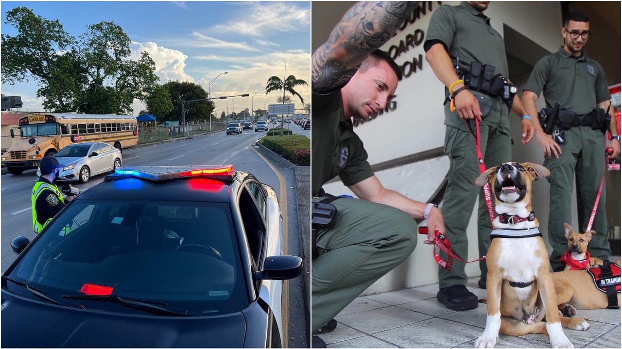 “Tenemos policías entrenados para enfrentar amenazas”:  jefe de la policía escolar de Miami-Dade