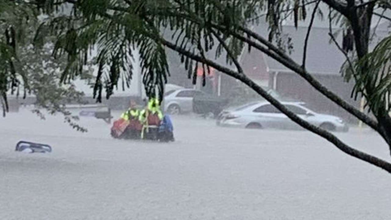 Rescates en Spring, Texas