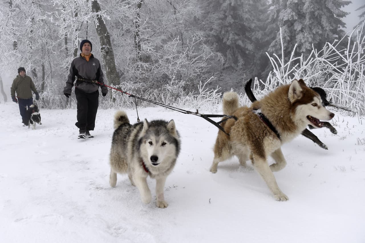 Para muchos es un dolor de cabeza, pero para otros es diversión
