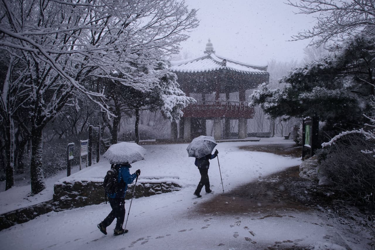 Para muchos es un dolor de cabeza, pero para otros es diversión