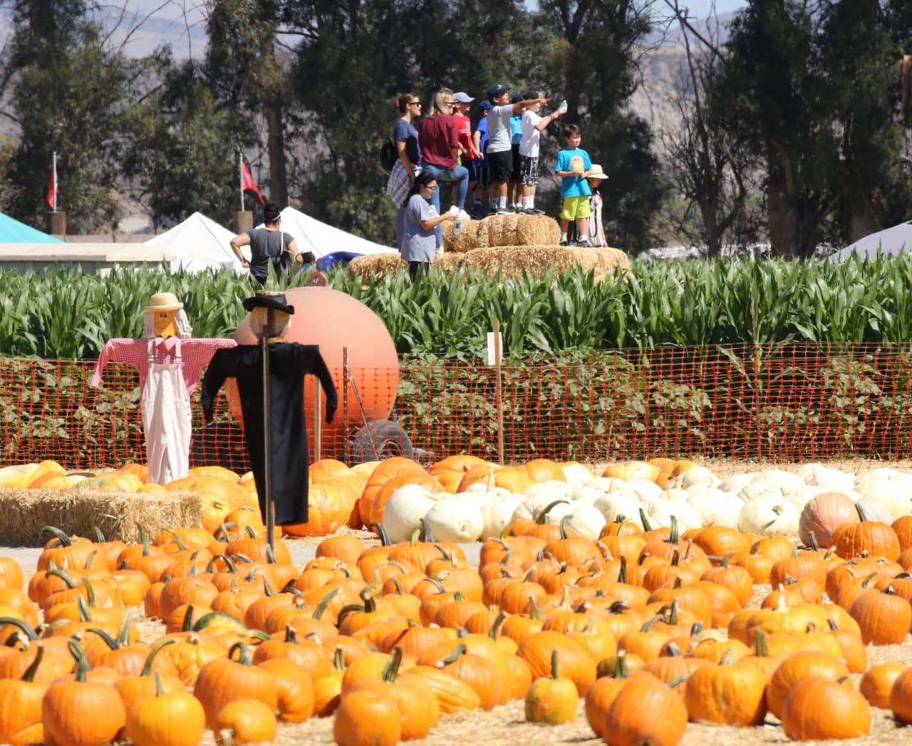 Será un Halloween muy diferente para los Garner este año.