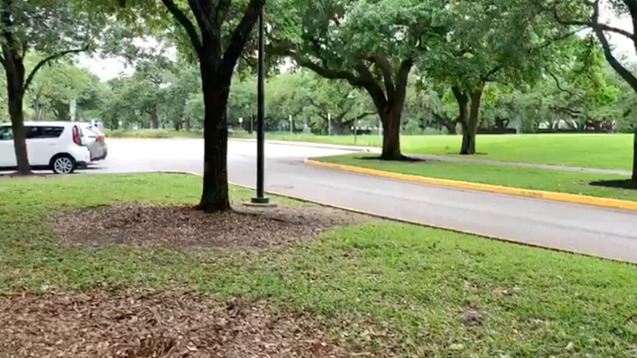 Los visitantes deberán mantener las indicaciones de los Centros de Control y Prevención de las Enfermedades
<a href="https://www.cdc.gov/spanish/index.html" target="_blank">(CDC)</a> para evitar los contagios del
<a href="https://www.univision.com/local/houston-kxln/el-area-de-houston-pasa-los-6-000-contagios-y-mas-de-100-muertes-por-coronavirus">covid-19. </a>