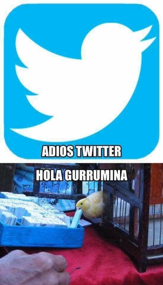 <a>Facebook: Yonimerengues</a>