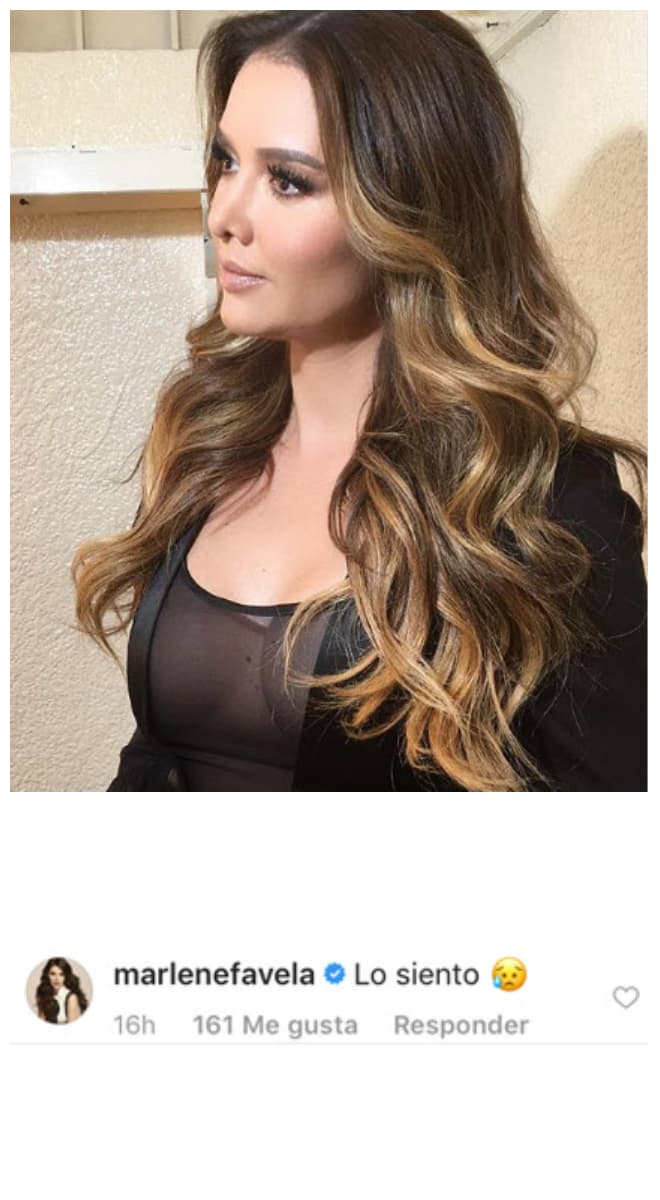 También le recomendaron darle mucho amor a la perrita para que se recupere rápidamente.