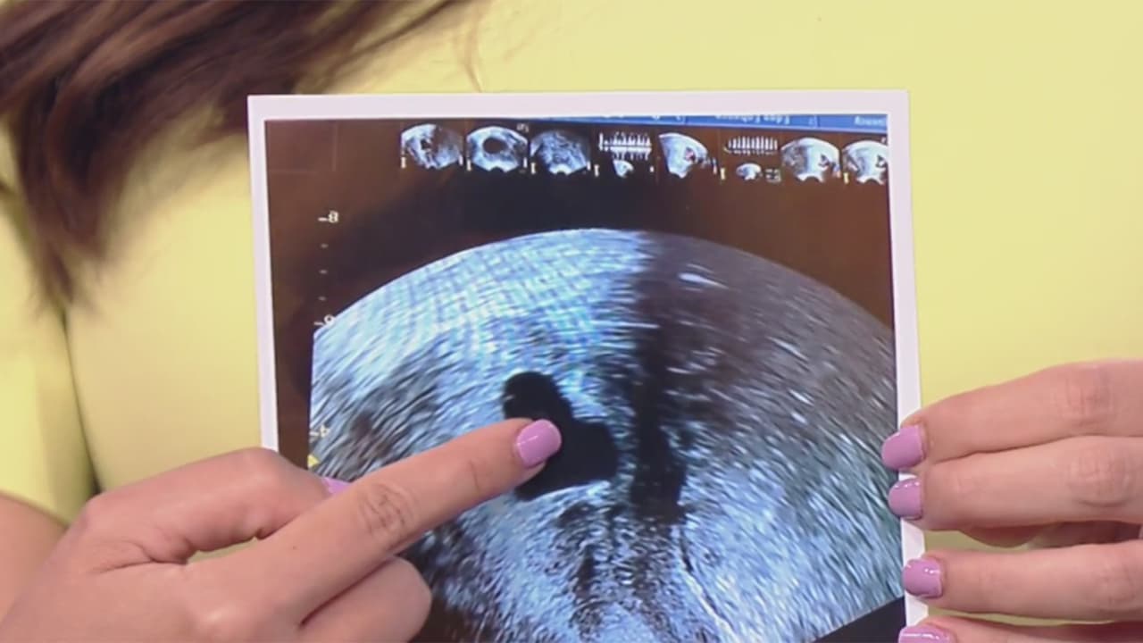 "La familia crece": periodista de Univision será mamá y así recibimos la feliz noticia