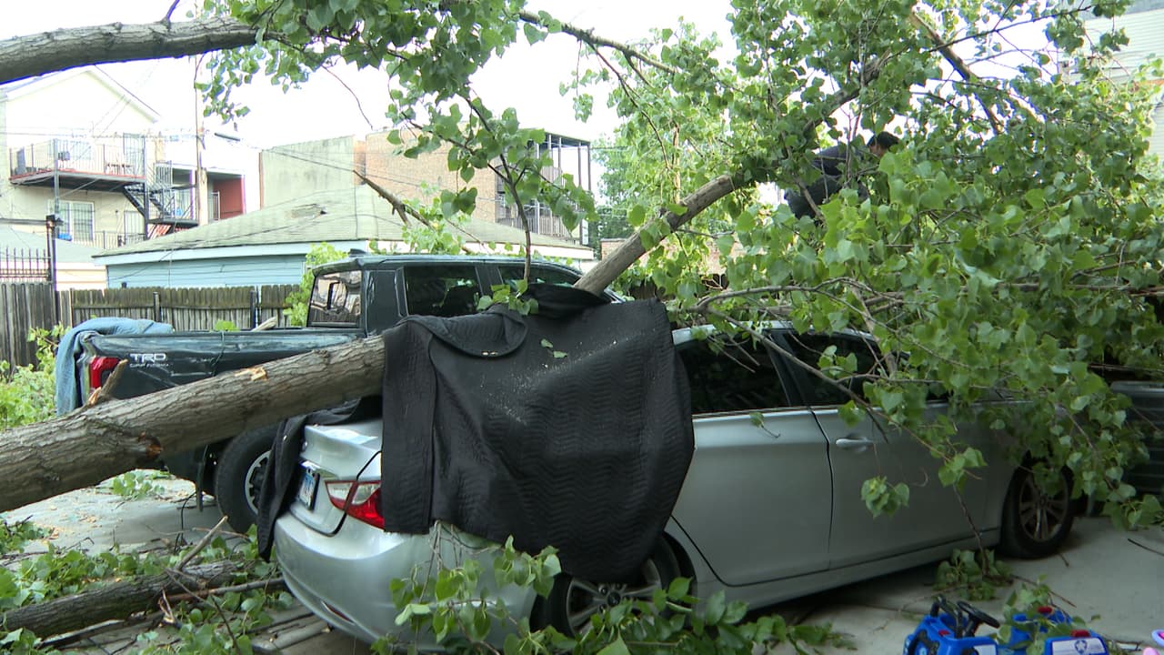 Para este martes siguen activas
<b> alertas en varios condados por inundaciones</b>.