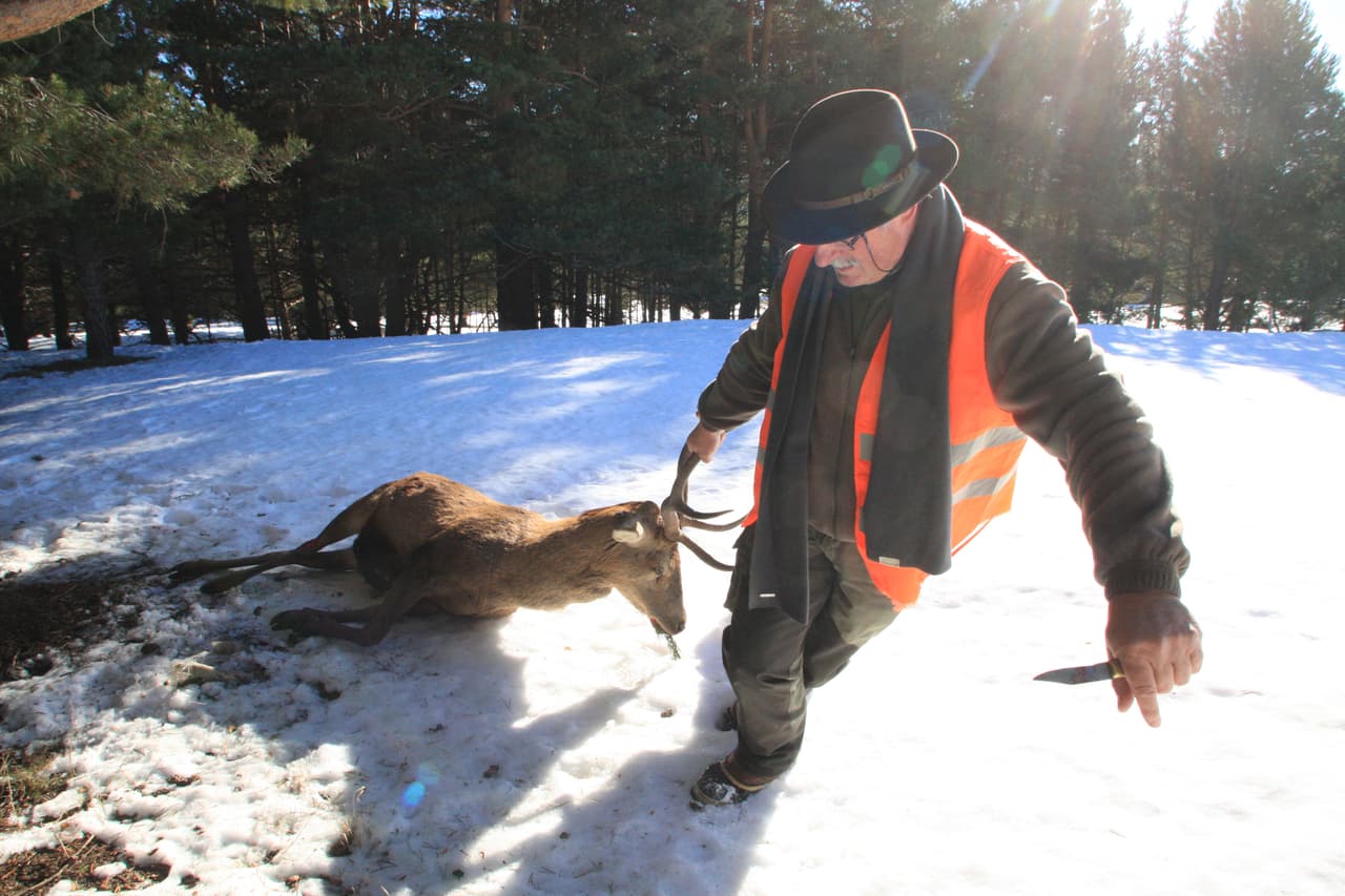 Texas vota sobre derecho constitucional a caza y pesca