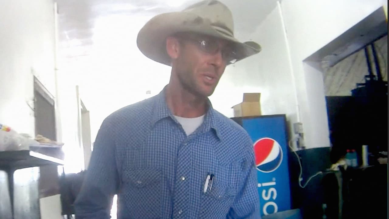 Dueño de la granja donde maltrataban a las vacas fue testigo del abuso, según organización proanimales 