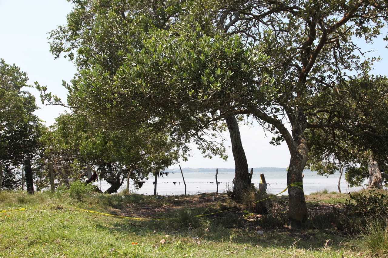 Las autoridades han trabajado en ocho fosas que se encuentran en un perímetro de 120 metros cuadrados, junto a la laguna de Alvarado, Veracruz.