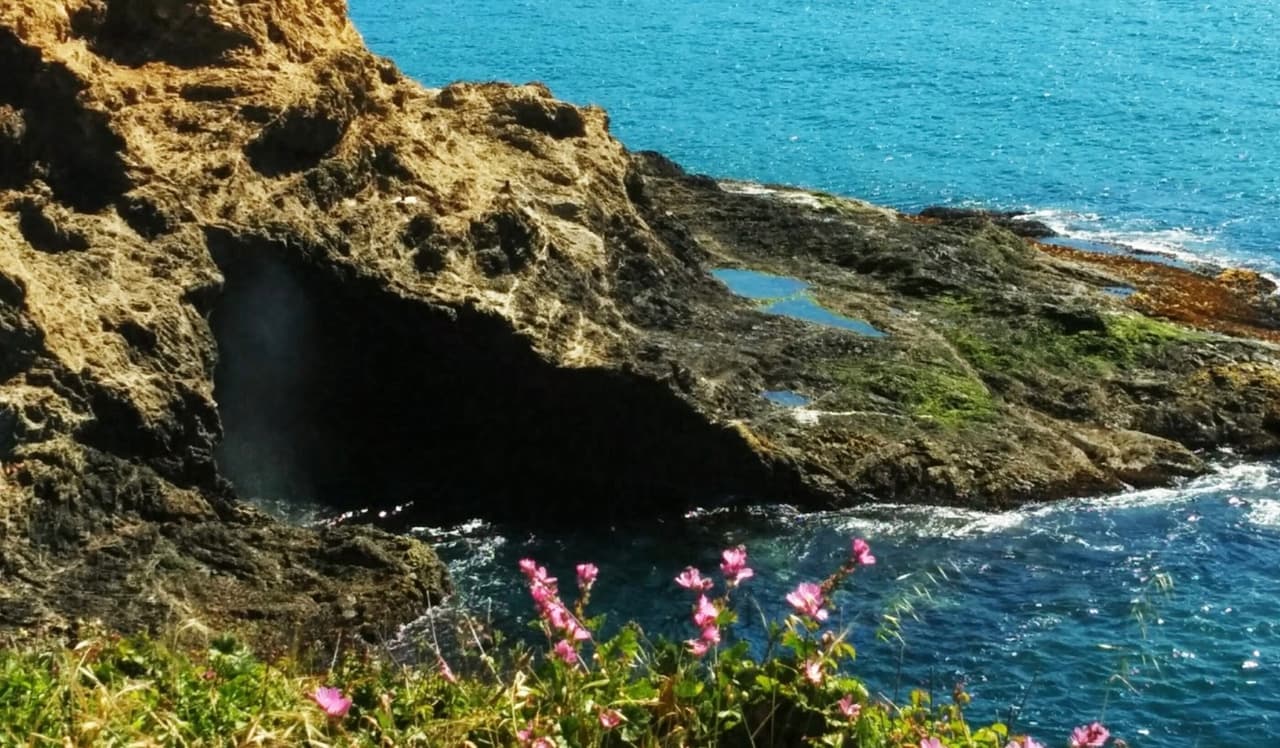 <b>En el condado de Mendocino, </b>la mayoría de las playas se encuentran bajo la administración del Servicio de Parques de California y se mantendrán cerradas hasta el 15 de mayo. Por el momento el sendero
<b><a href="https://documents.coastal.ca.gov/assets/covid-19/Coastal-Zone-Beach-Restrictions.pdf" target="_blank">Moat Creek Beach</a></b> está abierto para excursionistas y caminantes.