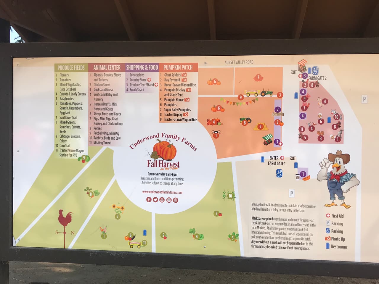 Para visitar la granja, te recomendamos vestir ropa adecuada para recorrer las cuatro estaciones del trayecto, que incluyen múltiples hectáreas para recoger tus propios vegetales, un centro de animales de granja, el recorrido a carreta o en tractor y el popular pumpkin patch, con cientos de calabazas de todos los tamaños.