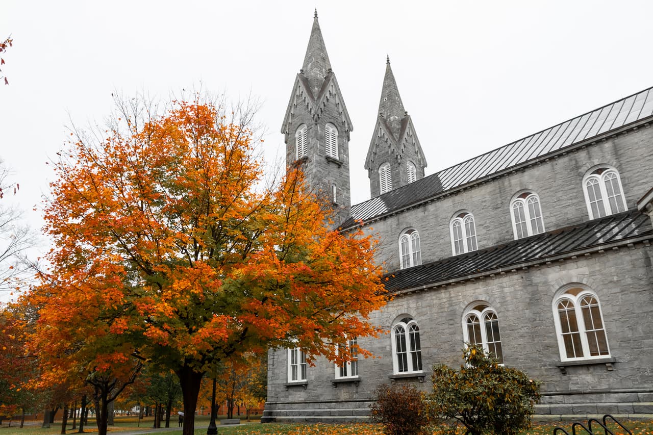 <b>Puesto 19. Bowdoin College</b>
<br>
<br>Tasa de aceptación: 9%.
<br>
<br>Lugar: Brunswick, Maine.
<br>
<br>Fue fundada en 1794 y las clases de pregrado más recientes culminaron con alrededor de 1,800 estudiantes. Su mascota es un oso polar, un gesto en honor a su egresado Robert Peary quien lideró la primera expedición exitosa al Polo Norte en 1913.
<br>