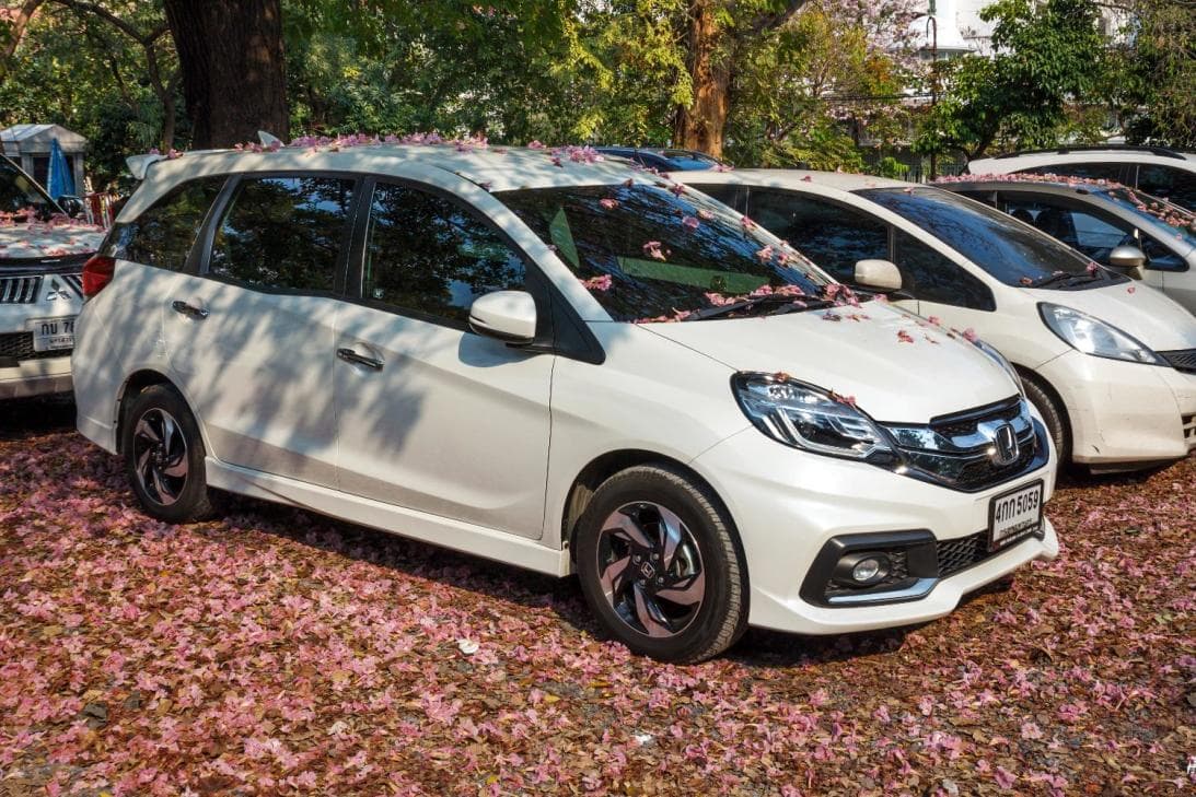 <h3 class="cms-H3-H3"><b>Habitáculo</b></h3>
<br>
<br>Una de las maneras más sencillas de proteger el habitáculo es estacionando el carro bajo la sombra, pero siempre y cuando sea en lugares techados y no debajo de árboles, pues los pájaros pueden hacer de las suyas e incluso la resina de los árboles pueden manchar la pintura. En el caso de que esto no sea posible, puedes usar uno de esos protectores solares que tapan el parabrisas para minimizar el impacto del sol y el calor.
<br>