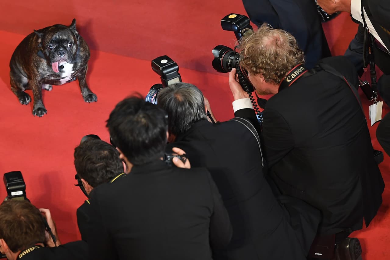 Gary cuenta con 31,700 seguidores en Twitter. ANNE-CHRISTINE POUJOULAT/AFP/Getty Images.