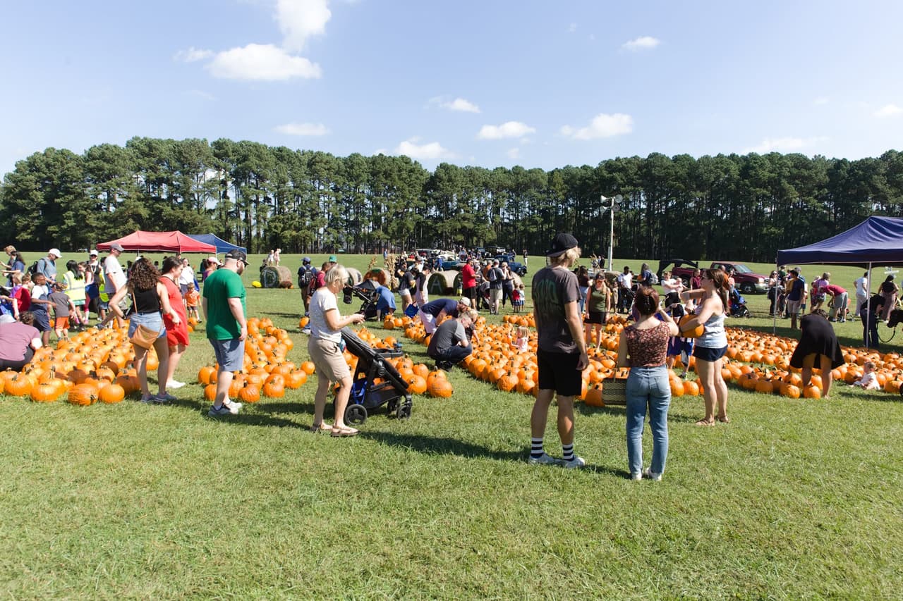 <b><a href="https://shoplocalraleigh.org/slr-events/falling-for-local-dix-park/">Falling For Local (15 de octubre):</a></b> Falling for Local es una excelente manera de dar la bienvenida al otoño mientras disfruta de los últimos rayos cálidos del verano. Este festival de otoño presenta puestos de artesanos, carpas de cerveza, música en vivo de artistas locales y actividades para los niños, como paseos en carruajes y huertos de calabazas.