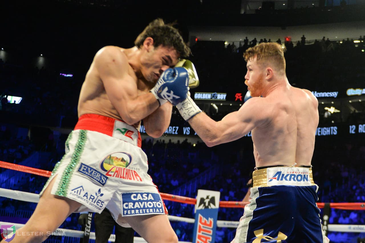 Te acercamos a los golpes que se dieron Saúl 'Canelo' Álvarez en contra de Julio César Chávez Jr., imágenes que te harán sentir en el ring.