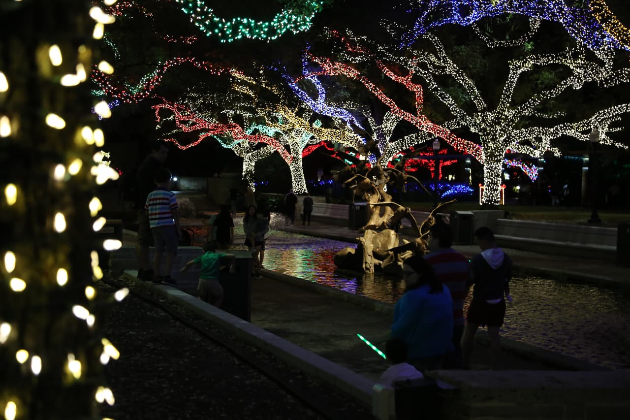 Las decenas de robles del parque fueron iluminados con miles de luces que cambian de colores y se encienden y apagan al ritmo de música navideña.