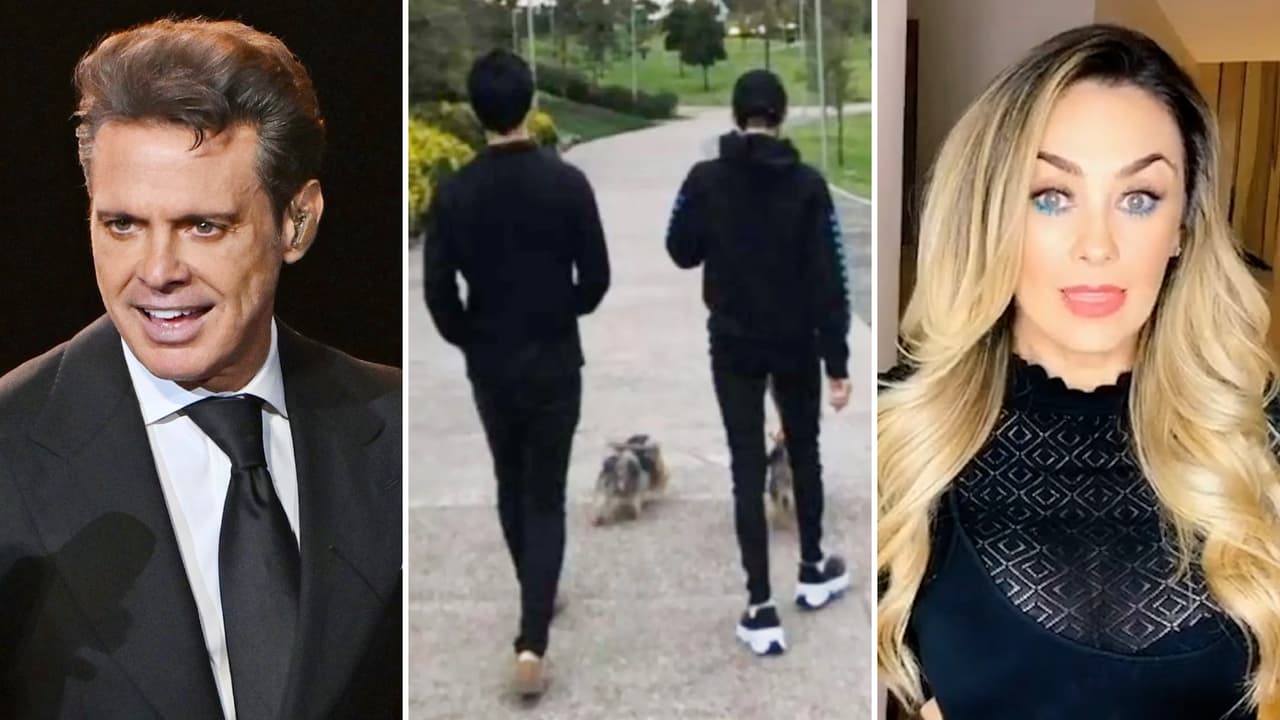 ¿Hijos de Luis Miguel y Aracely Arámbula reaparecieron en video? Así lucían en últimas fotos