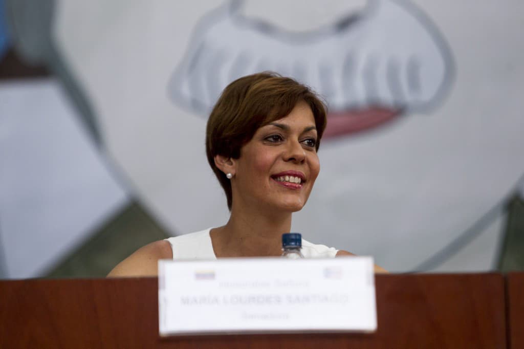 Arrestan a excandidata a la gobernación de Puerto Rico en una manifestación ambientalista