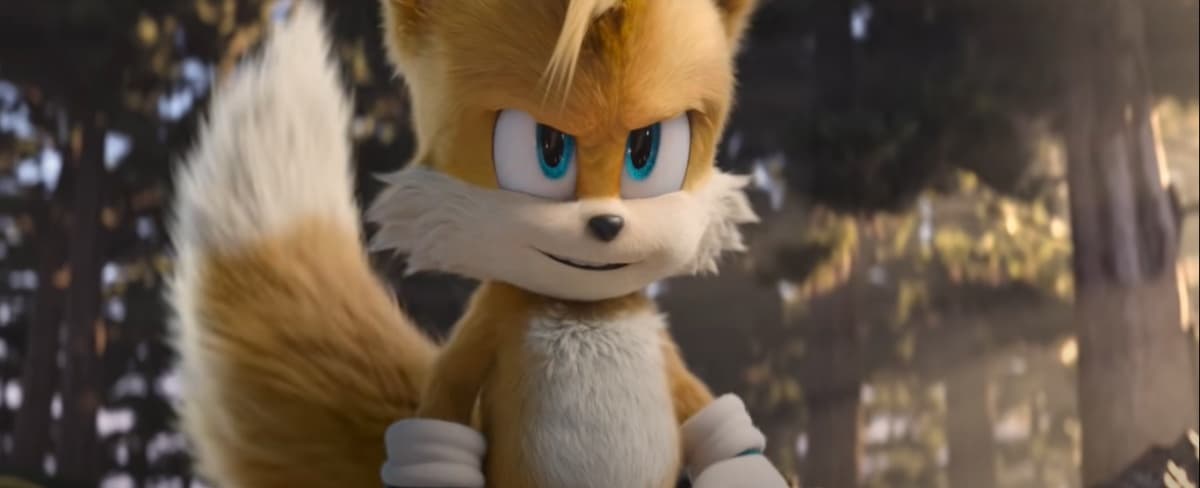 En su secuela, Sonic estará acompañado por Tail, su mejor amigo en los videojuegos. Knuckles, el rival de Sonic, también hará su debut en esta cinta. Su estreno será el 
<b>2 de abril del 2022</b>.