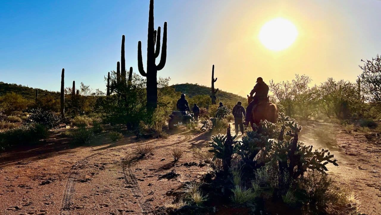 Através de las cámaras desplegadas en el desierto se logró la detención de un grupo de indocumentados, informó la Patrulla Fronteriza. Agentes de la unidad de respuesta móvil, los patrulleros a caballo y la unidad de cuatrimotos unieron esfuerzos para detener a los migrantes, según la agencia migratoria.