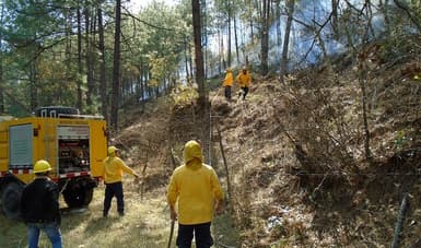 <h3 class="cms-H3-H3"><b>3.- Parque Nacional Cumbres de Monterrey</b></h3>
<br>
<b> Nuevo León</b>
<br>
<br>Un incendio que se originó el pasado 16 de marzo afectó 8,100 hectáreas. Actualmente el incendio ha sido contenido casi en su totalidad, según la Comisión Nacional Forestal (Conafor).