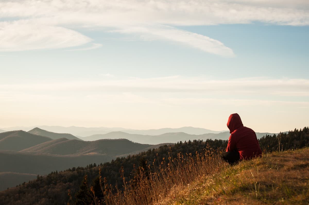 Hay muchos senderos increíbles con flores silvestres que solo se pueden encontrar en algunas de las elevaciones más altas a lo largo de esta ruta.