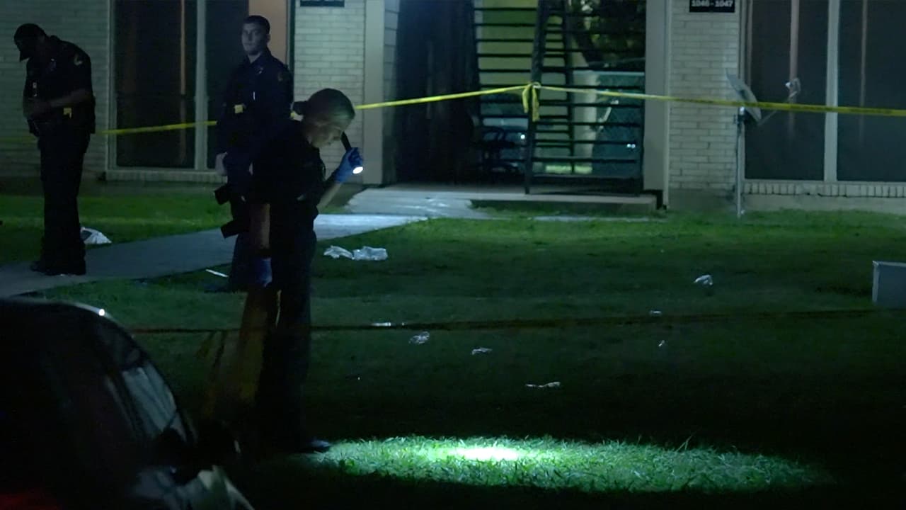 Tiroteo al sureste de Dallas deja como saldo una mujer muerta; estaba en una reunión