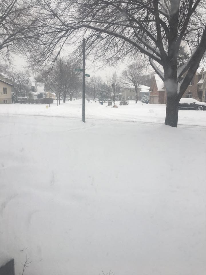 Según el Departamento de Transporte de Illinois, la mayoría de las autopistas están cubiertas de nieve y hay baja visibilidad, por lo que recomiendan a los conductores que conduzcan con cuidado.