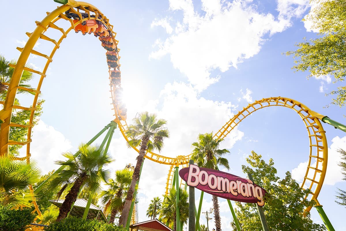 <b>Valdosta - </b>Valdosta es el hogar del parque temático 
<b><a href="https://www.wildadventures.com/">Wild Adventures</a></b>, que tiene emocionantes montañas rusas, toboganes de agua y encuentros con animales exóticos. Interactúa con más animales en Fifth Day Farm, un zoológico de mascotas y una granja familiar con todo, desde sesiones fotográficas hasta yoga con cabras. Busca la vida silvestre mientras navegas por los bosques de pinos y los humedales de cipreses en el Área de Manejo de Vida Silvestre de Grand Bay en kayak.