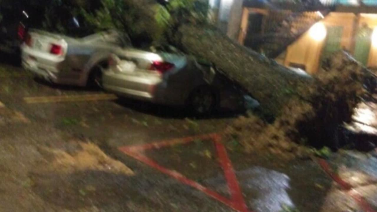 Oly pedroza - "6117 Gulf Frwy Houston"