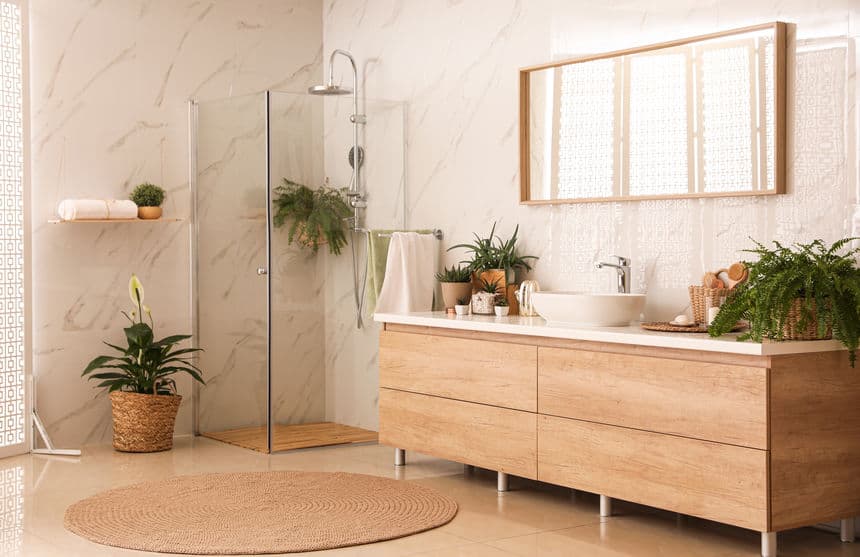 Busca plantas que soporten la humedad y que estén acostumbradas a vivir bajo poca luz natural. Colócalas en el lavabo y mira cómo cambia por completo el lugar con estos accesorios naturales.