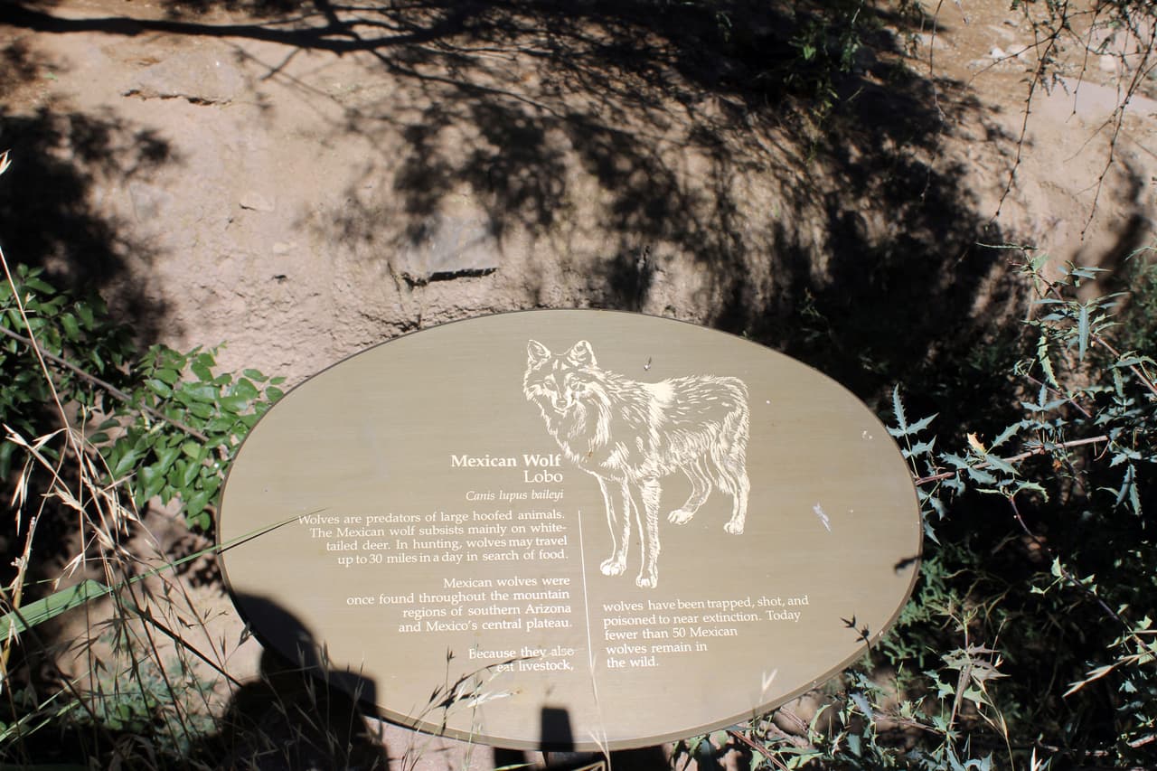 El Museo del Desierto Arizona - Sonora