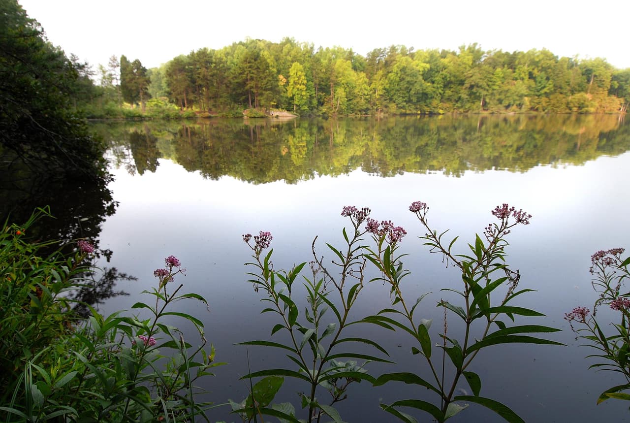 Un campamento familiar con 32 sitios y un campamento grupal están disponibles durante los meses de clima cálido, y se puede alquilar un edificio comunitario con instalaciones de cocina, baños y chimenea para eventos familiares y grupales durante todo el año.