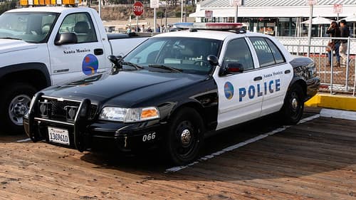 El concejal de la ciudad de Santa Mónica, Phil Brock, dijo al medio local CBS: "Parece que todo el mundo está en un estado constante de alerta y nerviosismo", refiriéndose a cómo viven los residentes de la ciudad.