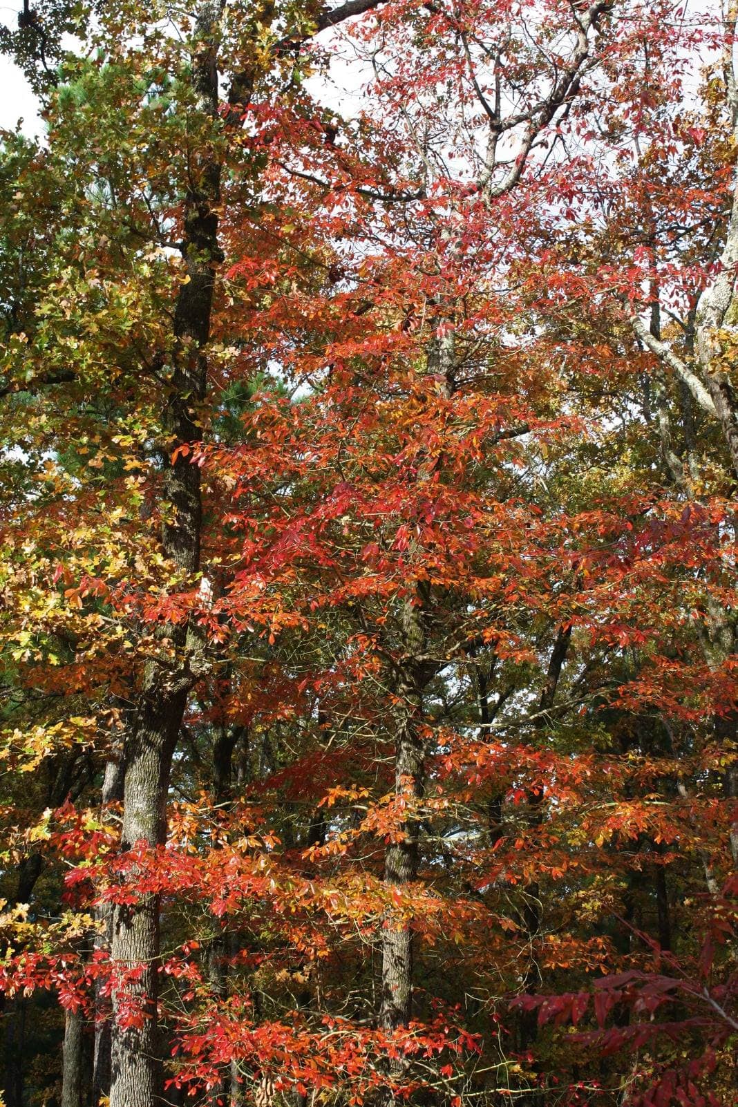 Adultos pagan $6 y los niños menores de 12 años entran gratis. 
<br>